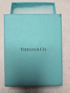 Tiffany & Co. Robin's Egg Blue Gift Box